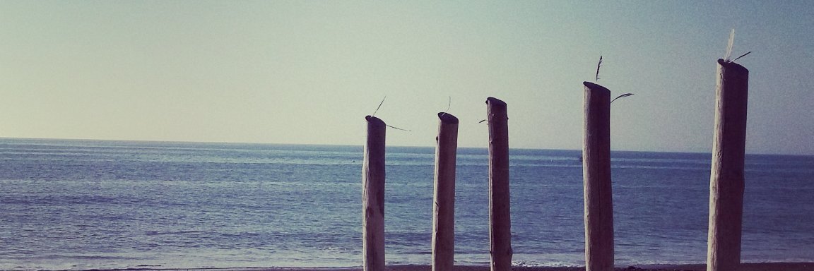 Pauline Launay banner