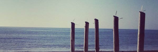 LaunayPau Profile Banner