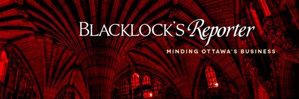 Blacklock's Reporter Profile Banner