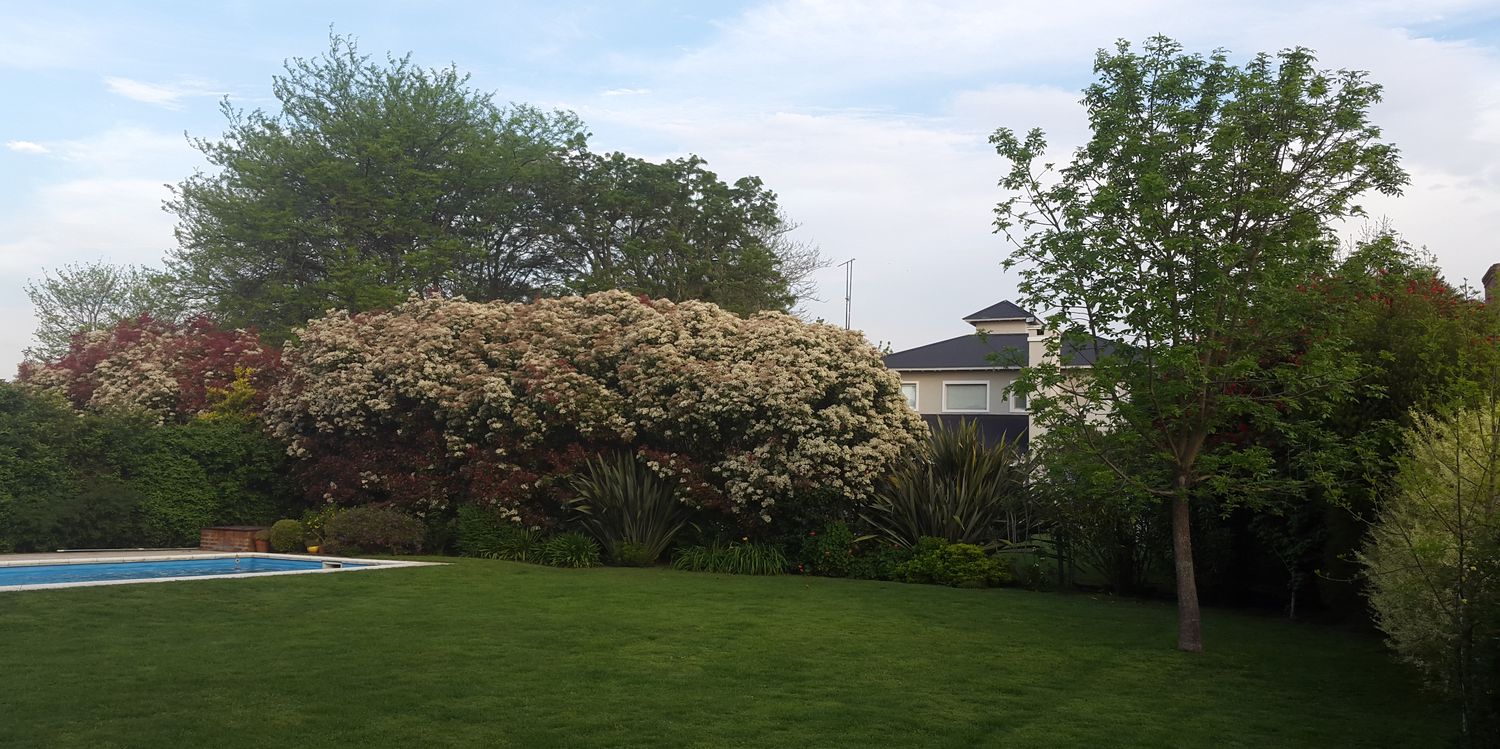 Meri A ☀️ 🇦🇷🇵🇾 banner