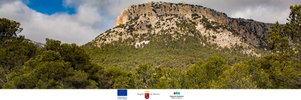 SierraEspunaPR Profile Banner