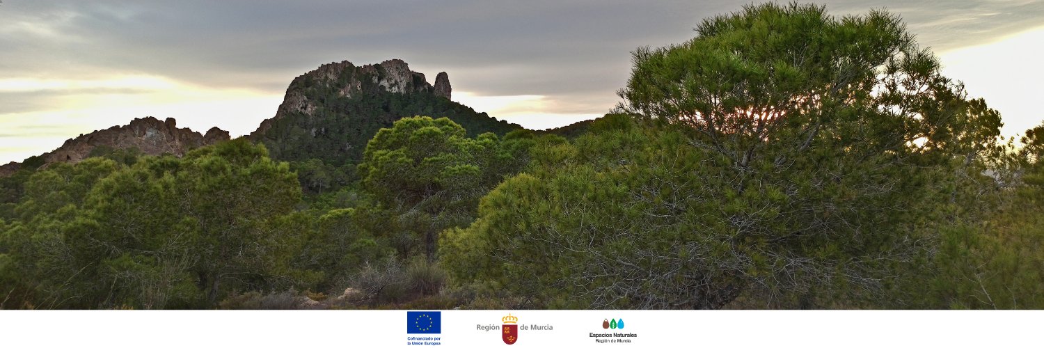 Parque Regional El Valle y Carrascoy banner