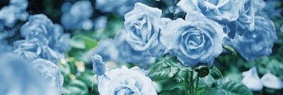 mnk2_s2's profile banner image