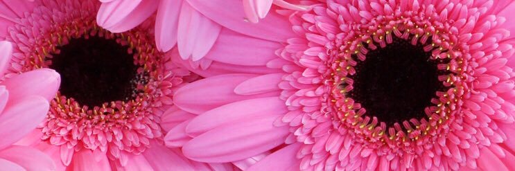 norwatiAM_01's profile banner image