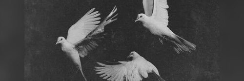 Rosalit'a🌛🖤" banner