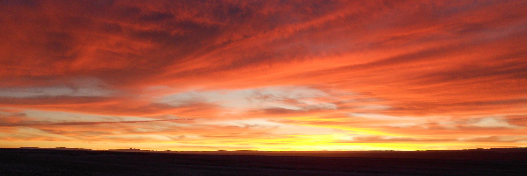 Susychile's profile banner image