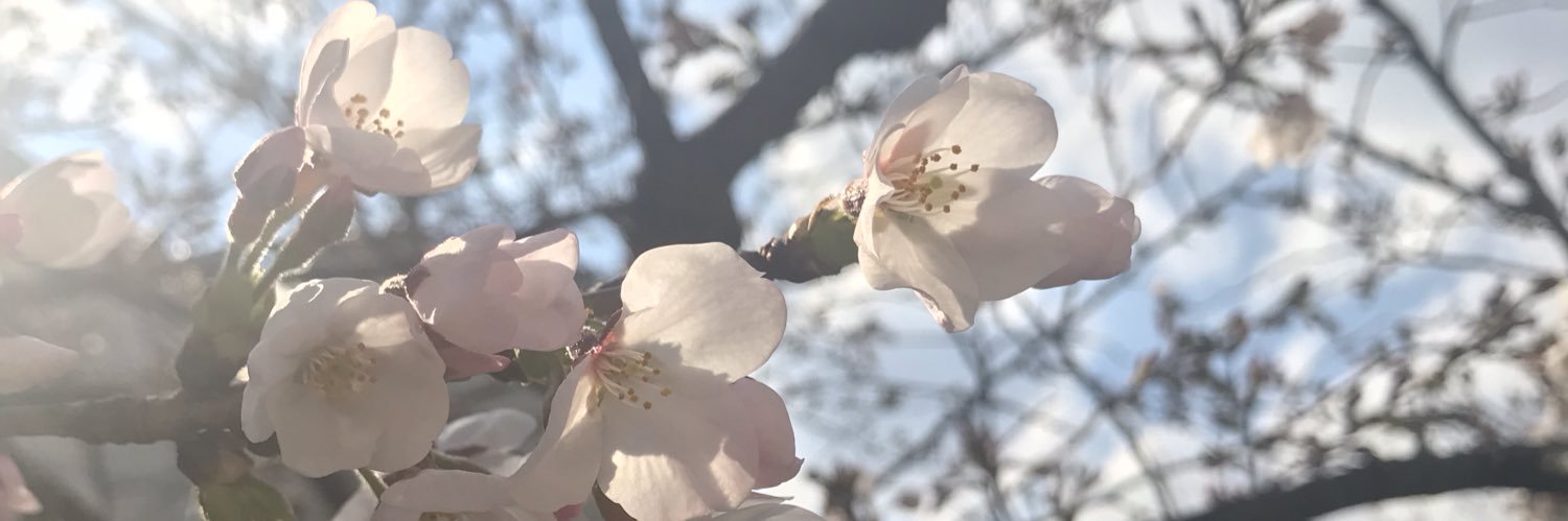 おすろん🌸🇺🇸 banner