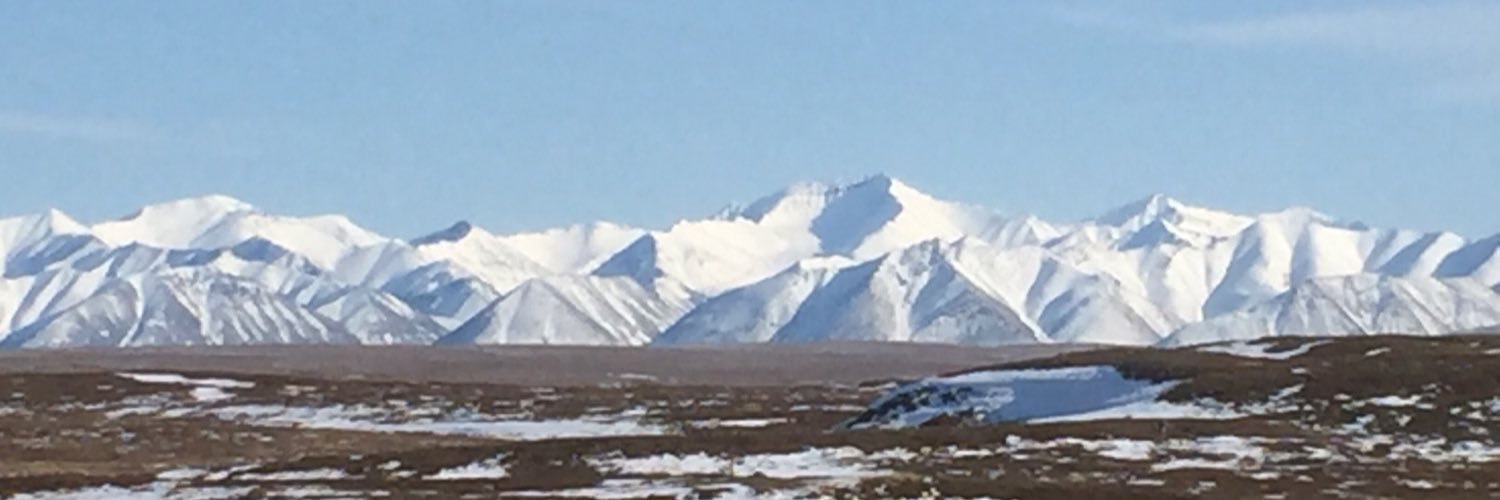 Simone Meddle banner