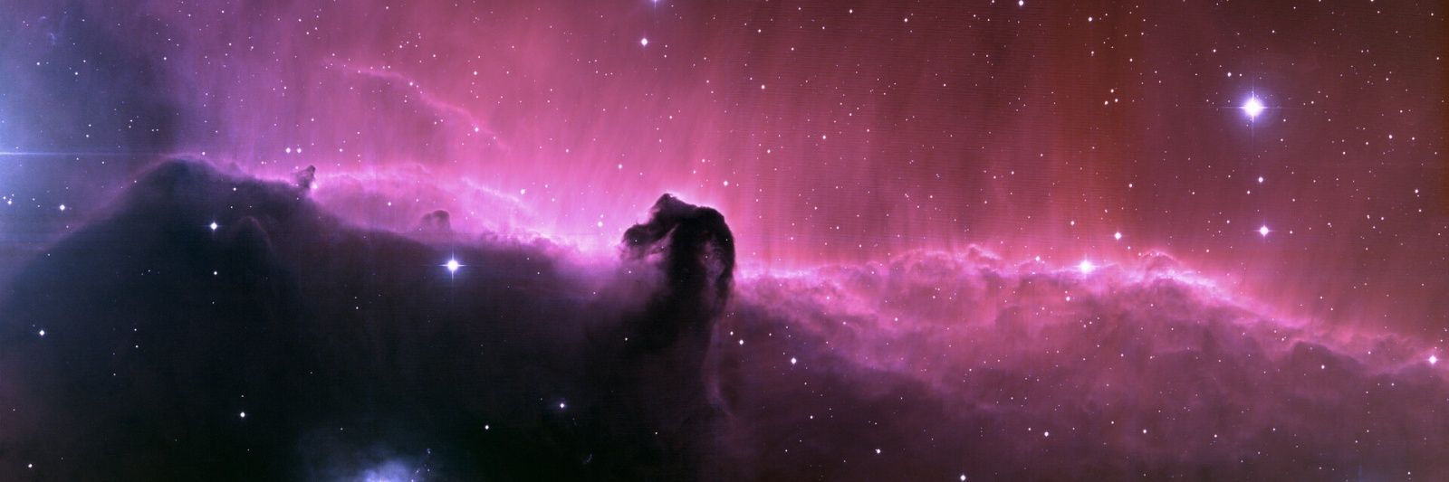 rocket banner
