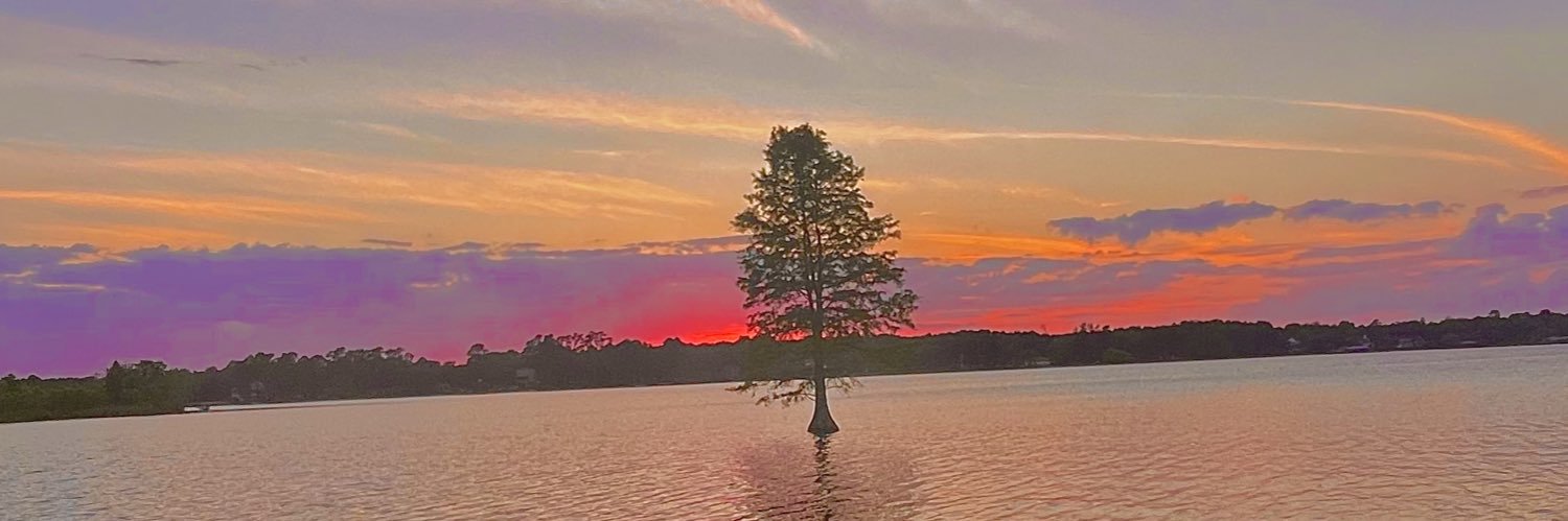 steviegidden's profile banner image