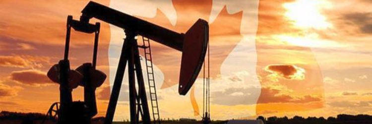 Capitalists View banner