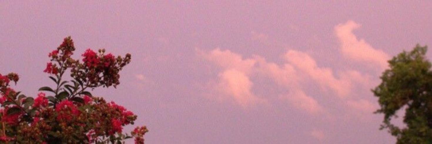 DailyThompson's profile banner image