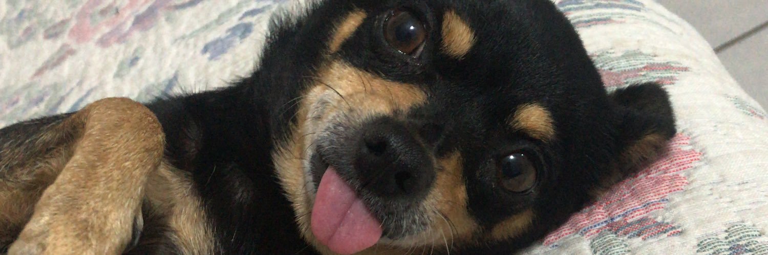 mxxreee's profile banner image