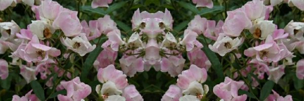 anna_xoR Profile Banner