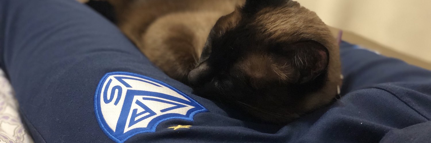 fortynero's profile banner image