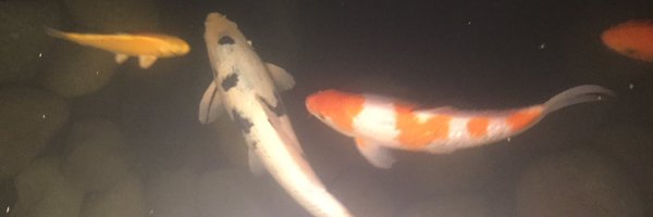 vicorellana Profile Banner