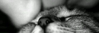 lisy89's profile banner image