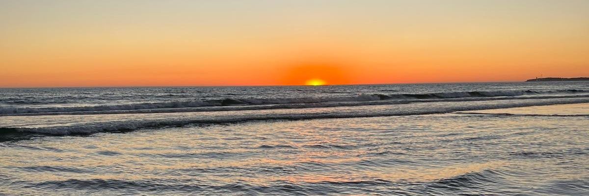 celiamicos's profile banner image