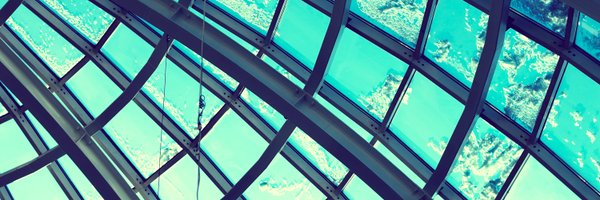 TorbenBrodersen Profile Banner