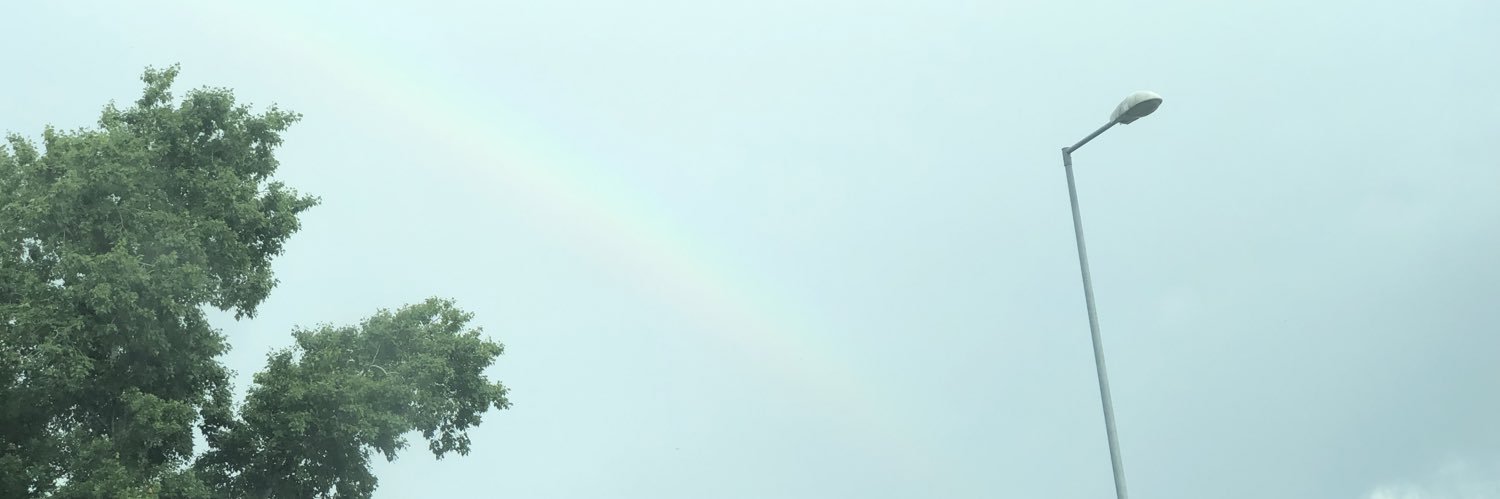 Kiss Ferenc banner