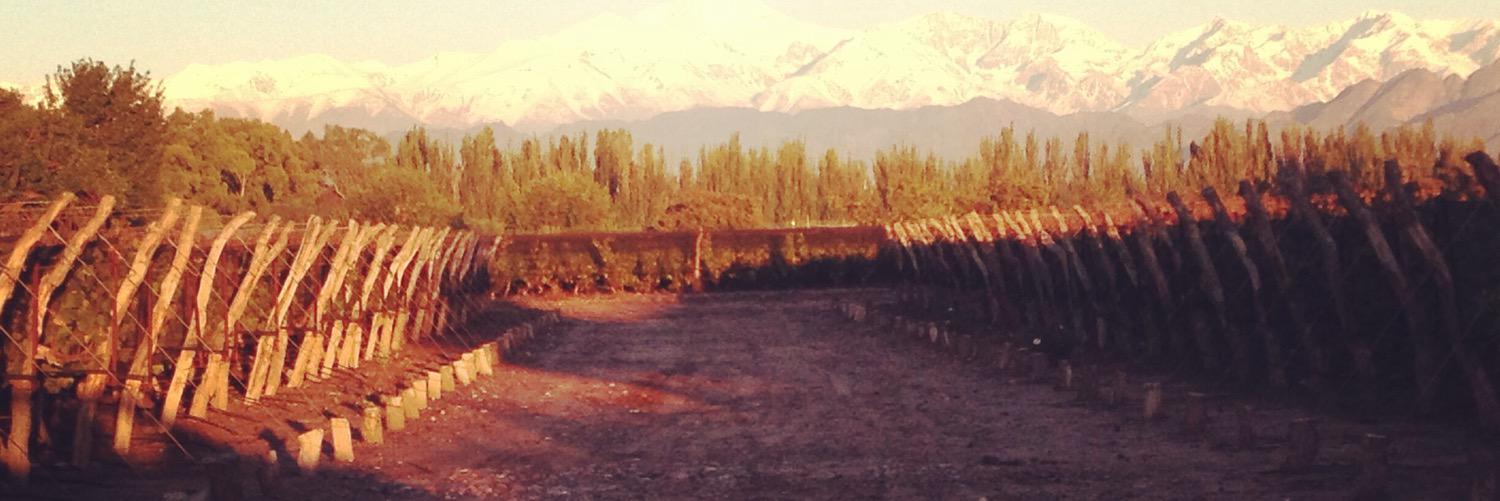 Berny_gil's profile banner image