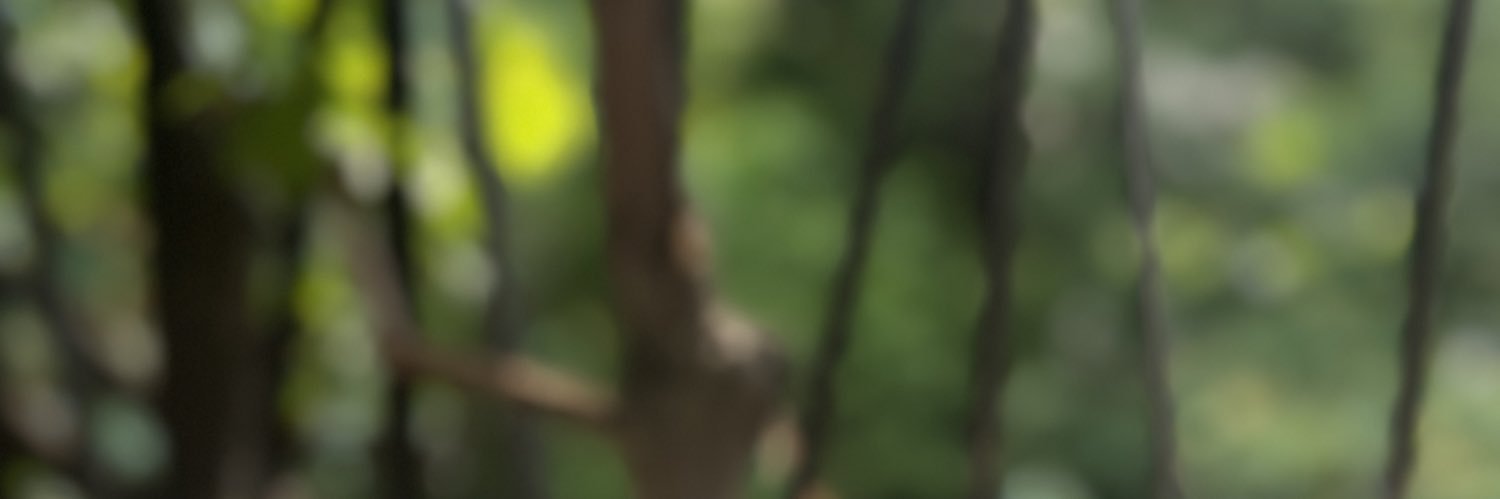  می ۲ banner