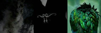 Delphini Riddle Diggory banner