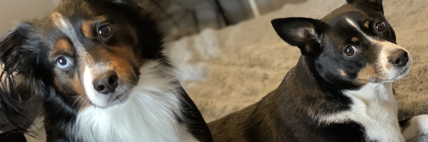 Cshay2015's profile banner image