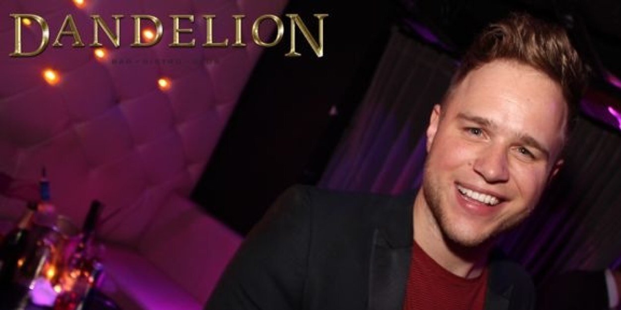 dandeliondublin's profile banner image