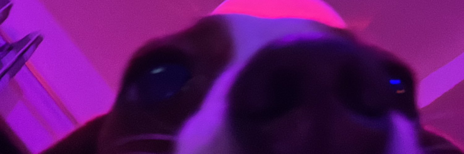 AndreaSofiasm's profile banner image