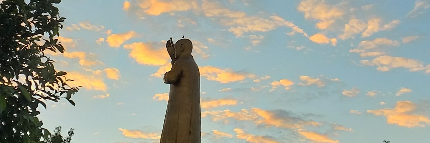 alinior_'s profile banner image
