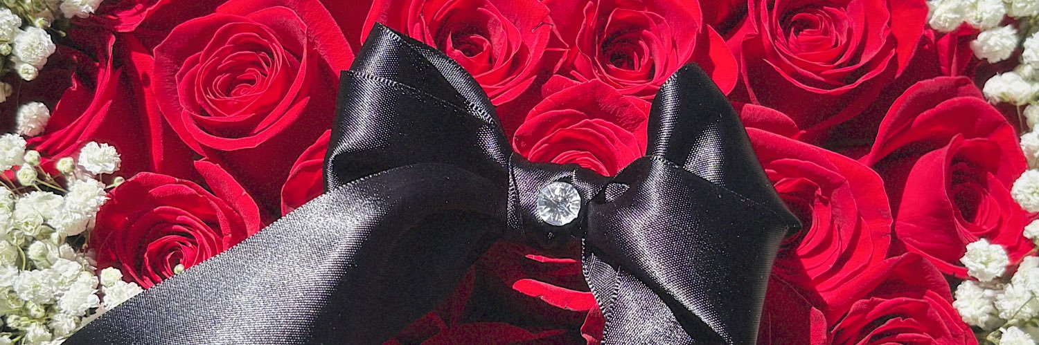 Manriquez_Mel's profile banner image