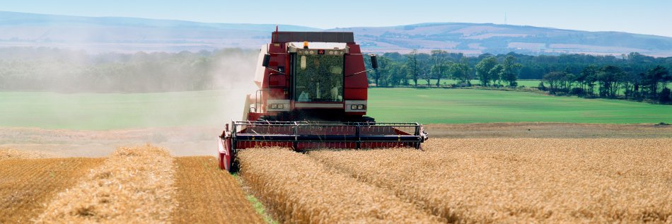 SAI Platform Australia banner