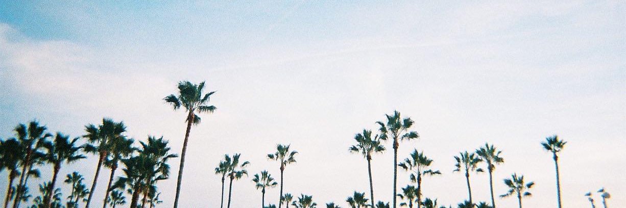ᴡᴀɴɢ ☁️ banner