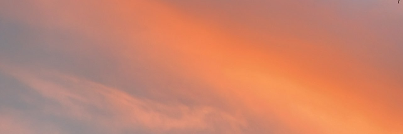 𝐭𝐚𝐧𝐢𝐚 banner