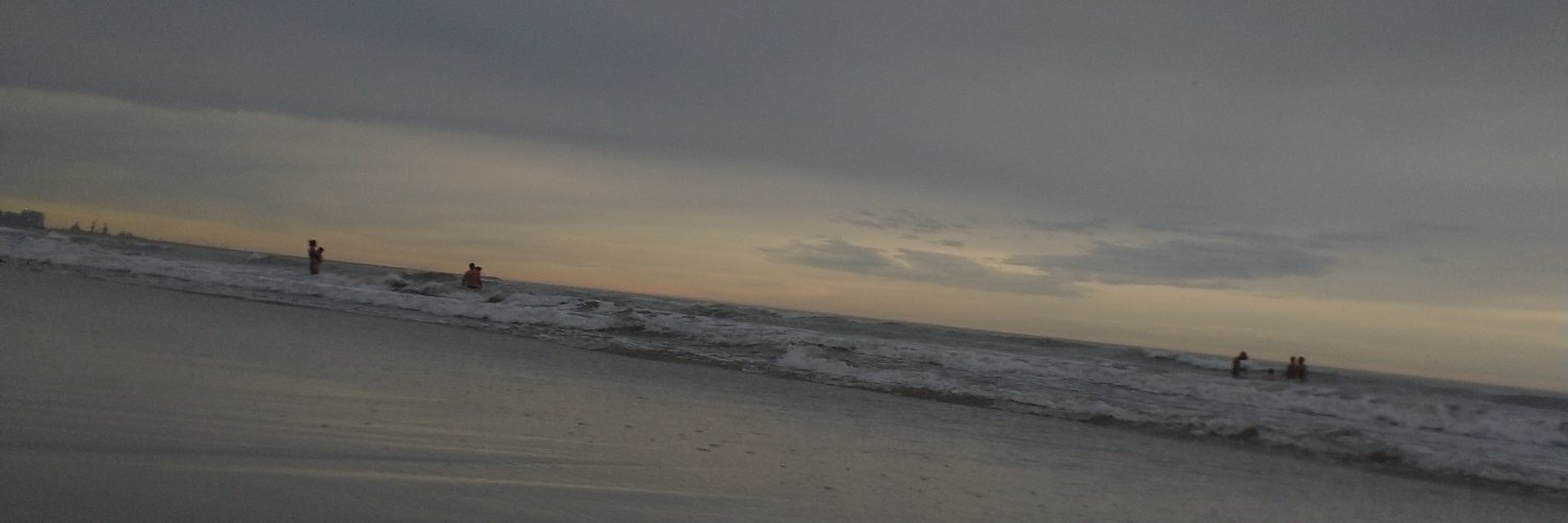 Rociopercara's profile banner image