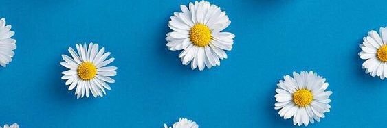 INGINGG's profile banner image