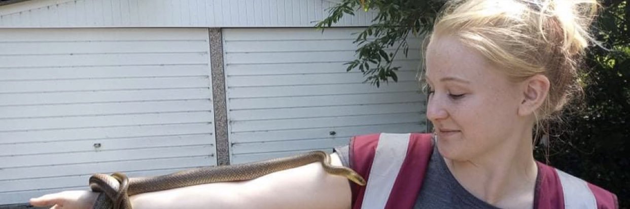 BeccaBrace's profile banner image