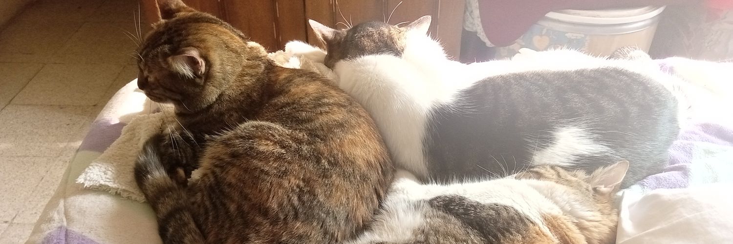 Alberto Pérez Bernal banner