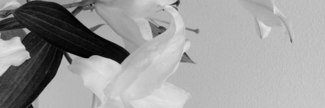 amanrietta's profile banner image