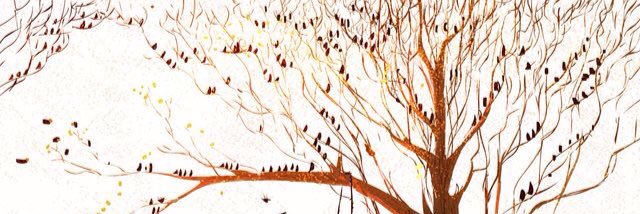 SockyBurr's profile banner image