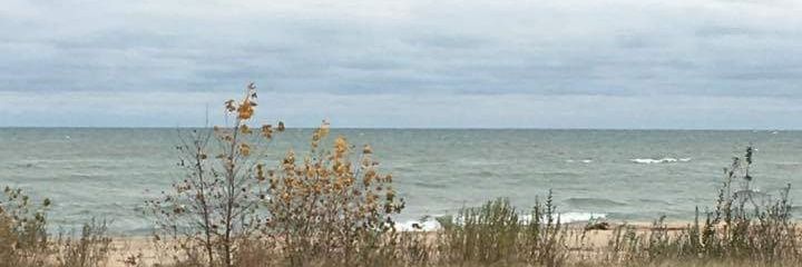 lbShanedl's profile banner image