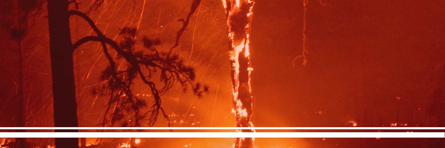 « - 𝐁𝐔𝐓𝐂𝐇𝐄𝐑 𝐎𝐅 𝐓𝐇𝐄 𝐂𝐑𝐄𝐄𝐊 banner