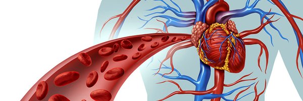 Journal of Vascular and Endovascular Therapy Profile Banner