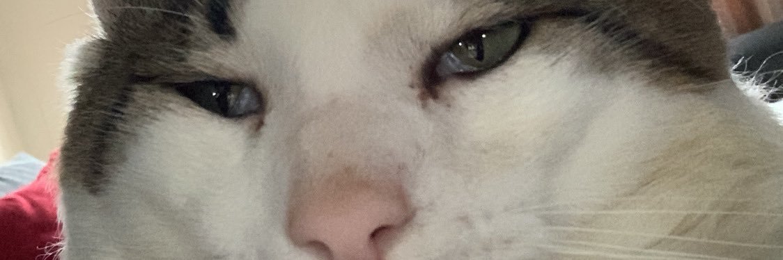 Urielferroo's profile banner image