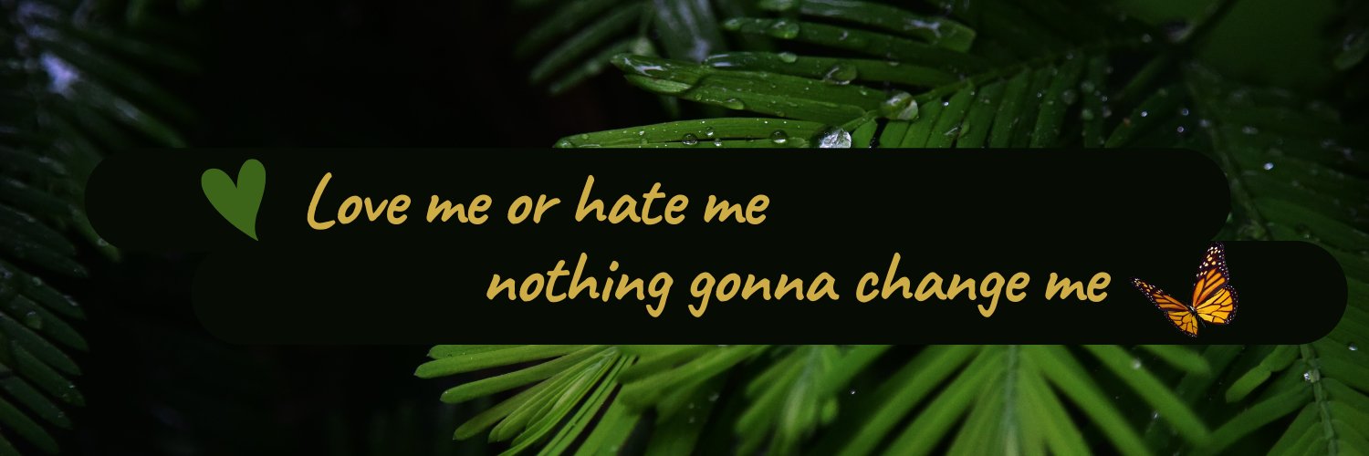 amodernmonk_'s profile banner image