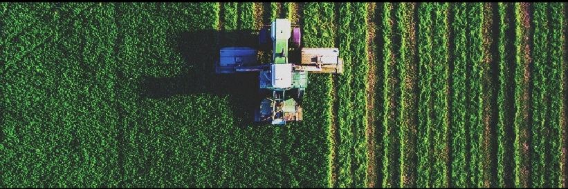Mathilde Lefrançois banner