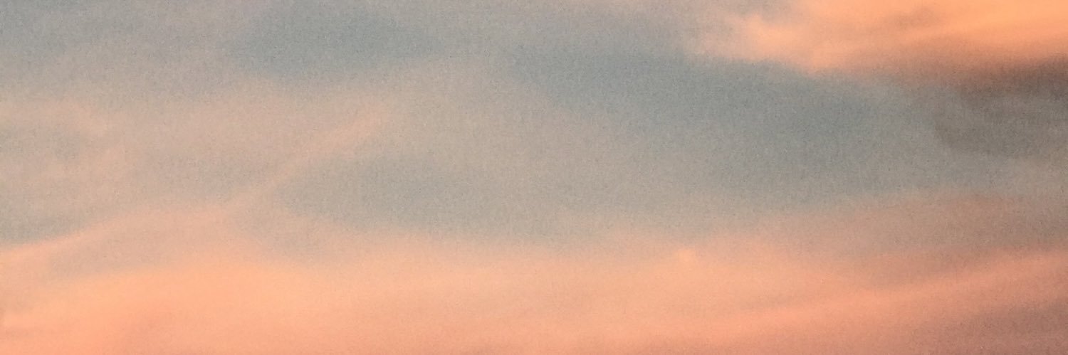 PieriColombi's profile banner image