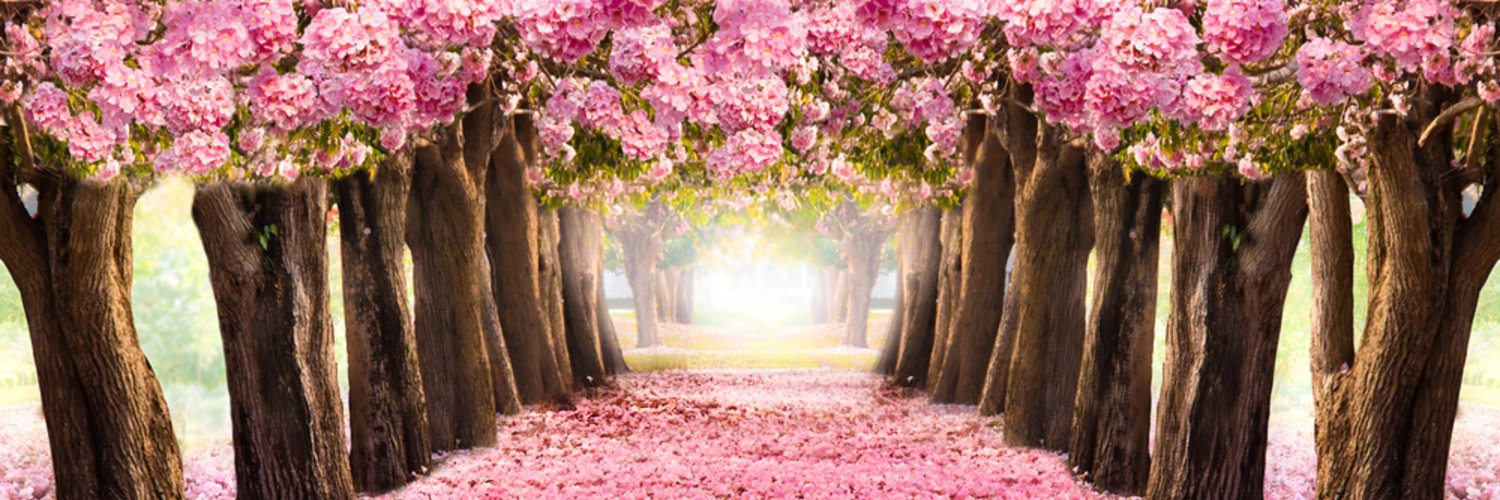 LookJustPerfect's profile banner image