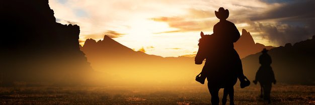 ABM (Texas Ranger... 9th gen) banner